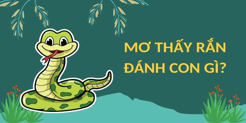 Biết đến mơ thấy rắn đánh con gì chắc thắng lô đề