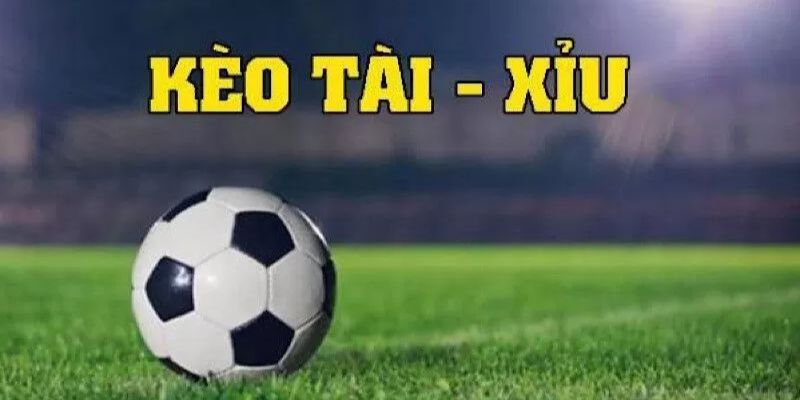 Luật Tài Xỉu Cơ Bản Và Mẹo Thắng Kèo Cho Người Mới
